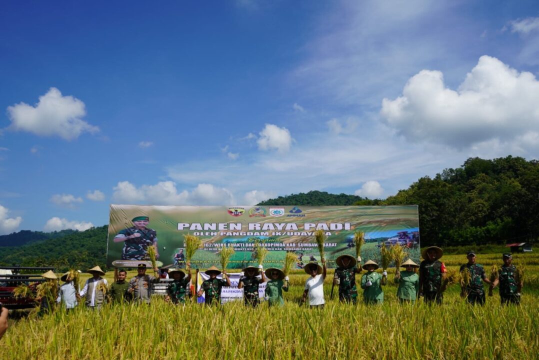 Panen Raya Padi Bersama TNI AD, Pangdam IX/Udayana : Langkah Menuju Kesejahteraan Petani