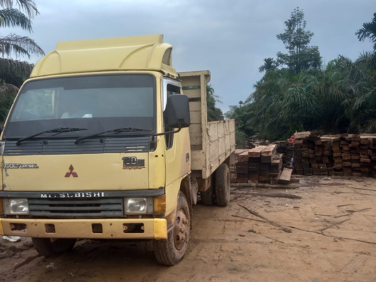 Tim Gabungan Kodam II/Swj Gagalkan Penyelundupan Kayu Hasil Ilegal Logging