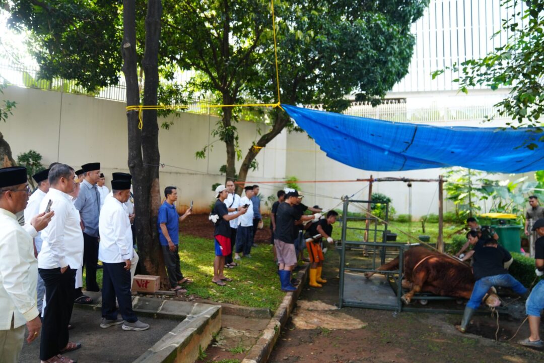 TNI AD Sembelih Ribuan Hewan Kurban, Teguhkan Semangat Berbagi di Idul Adha 1446 H