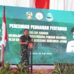 Hadirkan Air, TNI AD Hidupkan 424 Hektar Sawah Warga Sukabumi