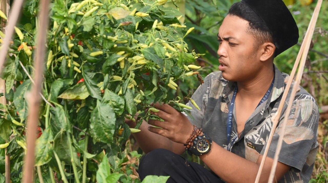 Kasad: Agroforestry Dorong Kesejahteraan Petani dan Ketahanan Pangan Nasional