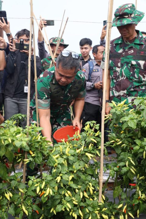 Kasad: Agroforestry Dorong Kesejahteraan Petani dan Ketahanan Pangan Nasional