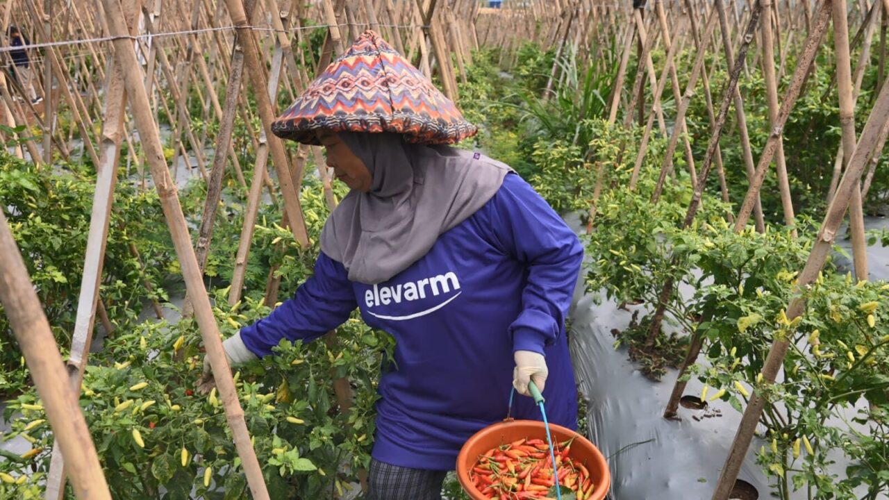 Kasad: Agroforestry Dorong Kesejahteraan Petani dan Ketahanan Pangan Nasional