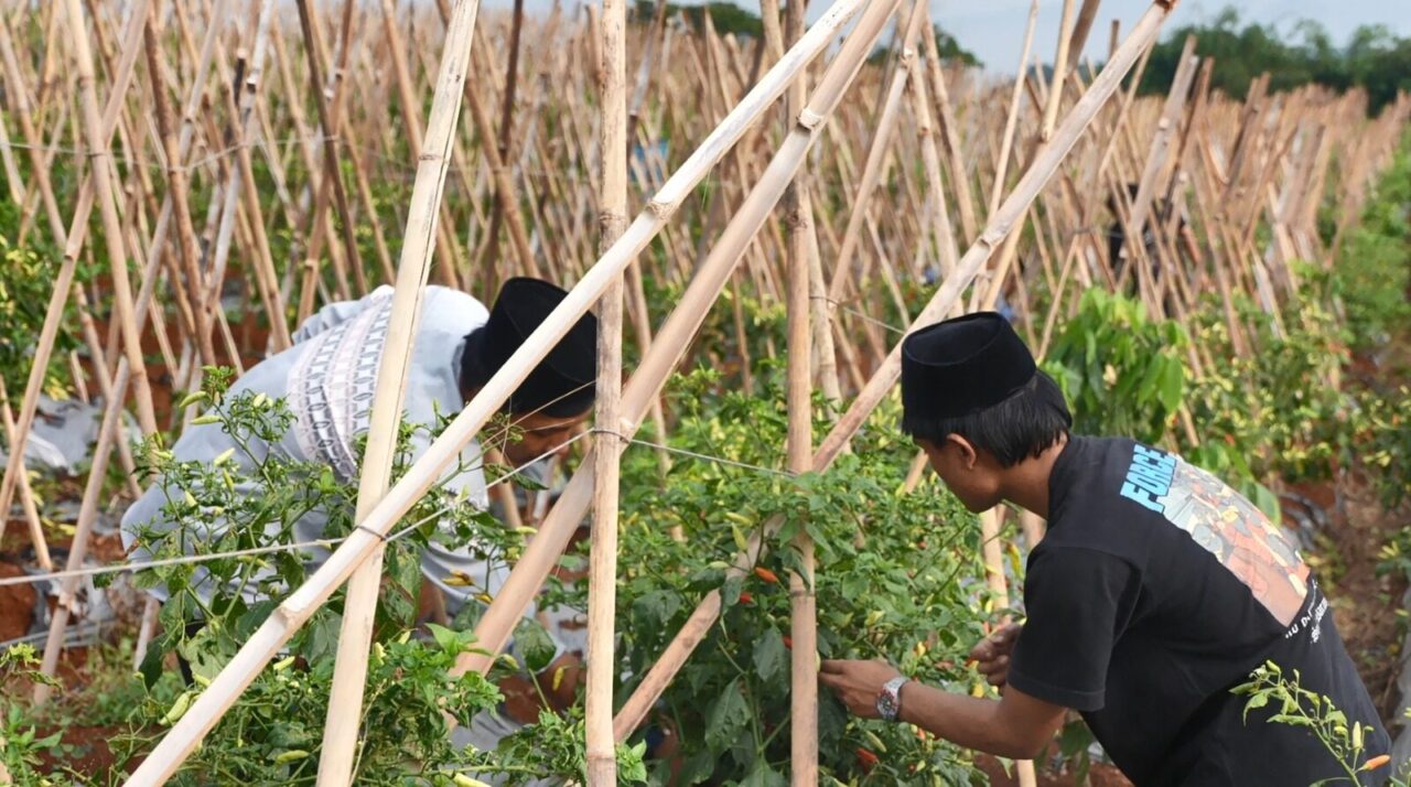Kasad: Agroforestry Dorong Kesejahteraan Petani dan Ketahanan Pangan Nasional