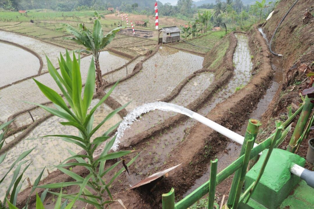 Air Mengalir, Asa pun Tumbuh: Kasad Resmikan Fasilitas Pengairan untuk Petani Brebes