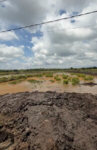 Cetak Sawah di Kalimantan, Prajurit TNI AD Sulap Lahan Jadi Lumbung Pangan