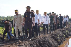 Cetak Sawah di Kalimantan, Prajurit TNI AD Sulap Lahan Jadi Lumbung Pangan