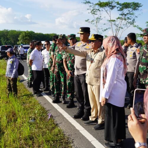 Cetak Sawah di Kalimantan, Prajurit TNI AD Sulap Lahan Jadi Lumbung Pangan