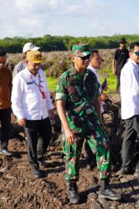 Cetak Sawah di Kalimantan, Prajurit TNI AD Sulap Lahan Jadi Lumbung Pangan