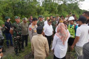 Cetak Sawah di Kalimantan, Prajurit TNI AD Sulap Lahan Jadi Lumbung Pangan