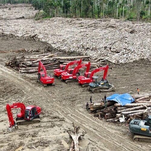 Kerahkan Puluhan Alat Berat, TNI Bersihkan Tumpukan Kayu di Desa Geudumbak, Aceh Utara