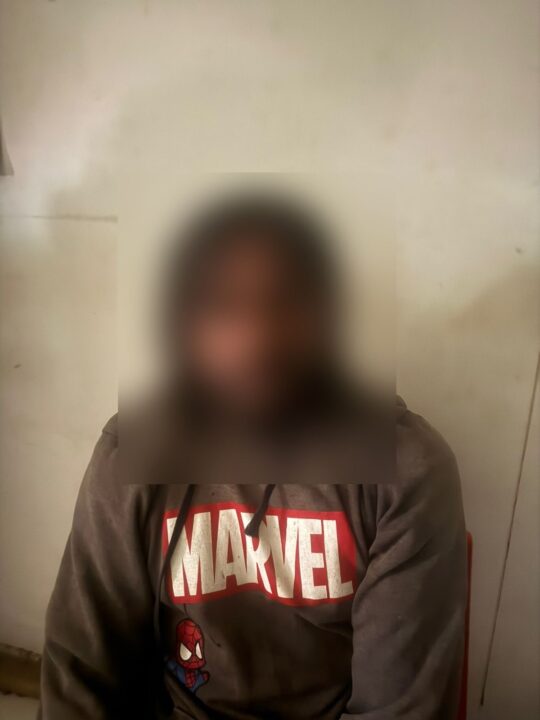 Ungkap Ladang Ganja di Pegunungan Bintang, Satgas Gabungan TNI-Polri Amankan Puluhan Pohon Siap Panen