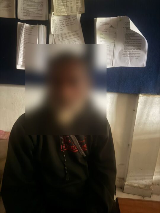 Ungkap Ladang Ganja di Pegunungan Bintang, Satgas Gabungan TNI-Polri Amankan Puluhan Pohon Siap Panen