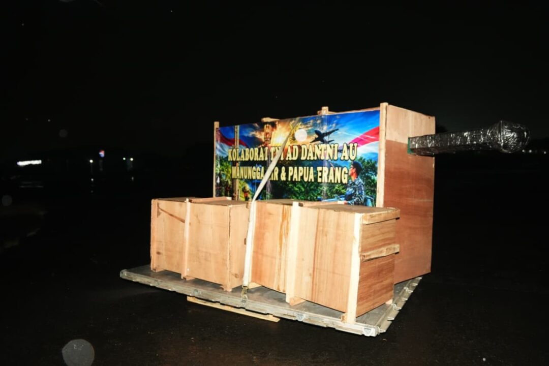 Perluas Akses Air Bersih dan Listrik di Papua, TNI AD Kirim Dukungan Program Manunggal Air dan Papua Terang